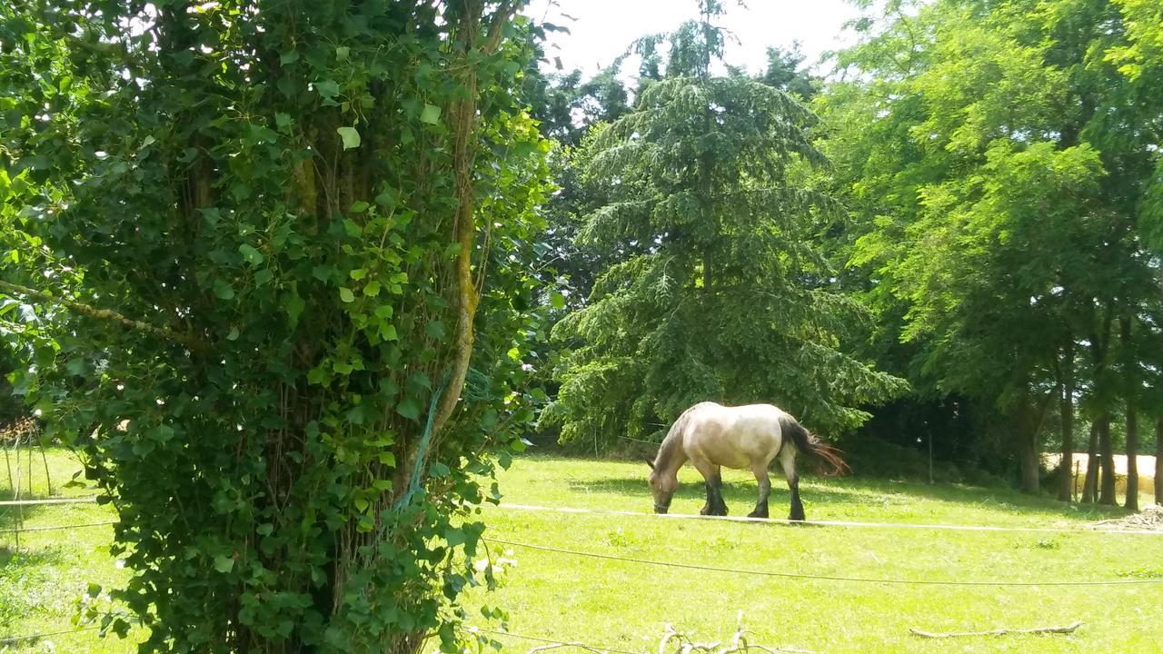 Manoir De Vilaines Varennes  Zewnętrze zdjęcie